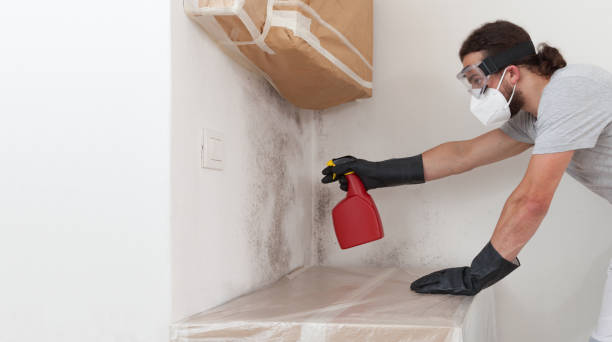 Professional Crawl Space Mold Remediation technician working in Winburne, PA