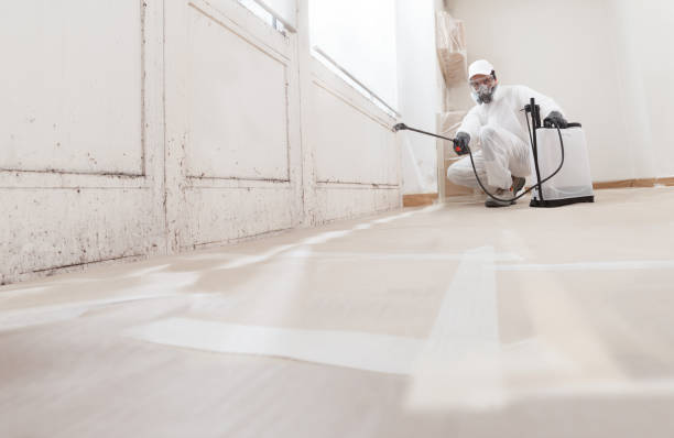 24/7 Emergency Crawl Space Mold Remediation experts in Winburne, PA
