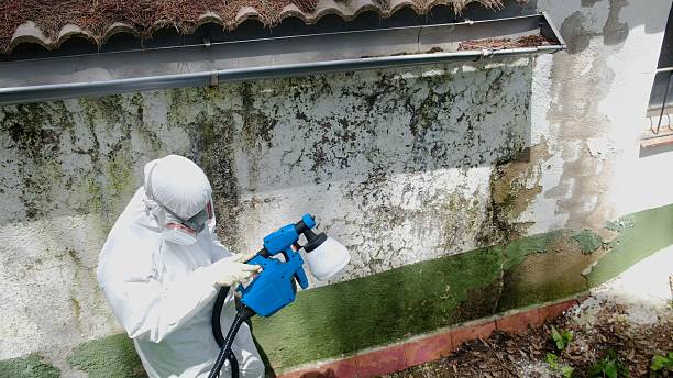 Top rated local Crawl Space Mold Remediation specialists in Winburne, PA